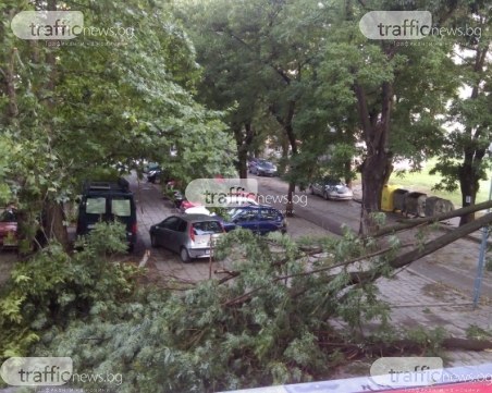 Мъж загина, а жена е в тежко състояние при бурята в София