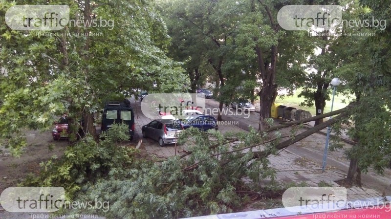 Мъж загина, а жена е в тежко състояние при бурята в София