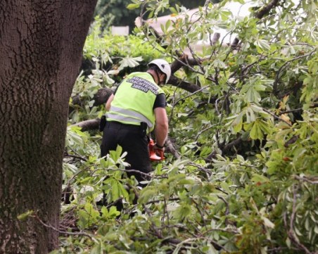 Остава тежко състоянието на жената, пострадала при бурята в Долни Богров