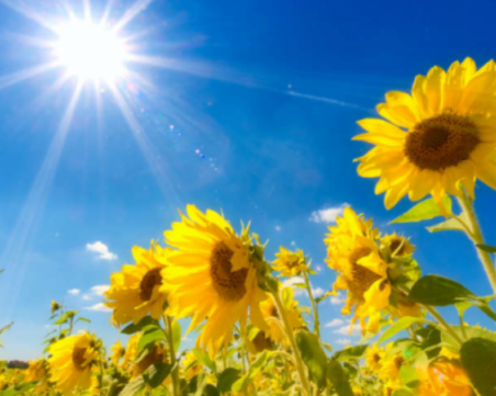 Температурите тръгват нагоре, но все пак ще е прохладно