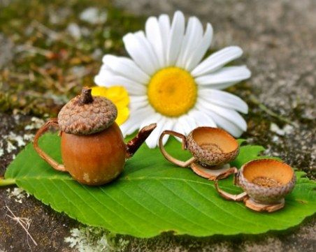 10 неща, които носят късмет в дома ни