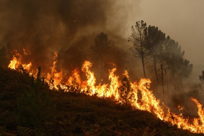 Над 60 огнеборци гасят огромен пожар в гръцки курорт