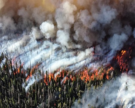 Кремъл: Пожарите в Сибир може да се дело на криминална групировка