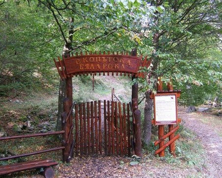 Да преборим адските жеги в планината - красива екопътека само на час и половина от Пловдив