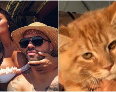 Ники Михайлов подари 