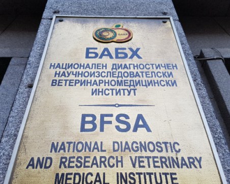 Далавера или престъпно безхаберие отварят врата за 