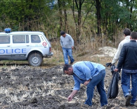Зловеща находка след масовото клане: Откриха трупове на домашни прасета захвърлени в дере