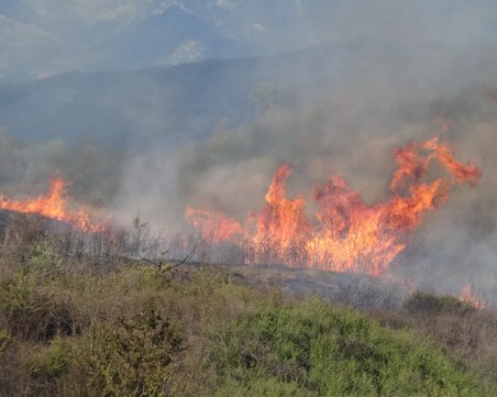 Голям пожар избухна в Хасковско