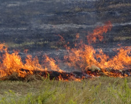 Пламъците в Хасковско обхванали дъбова гора, фронтът на пожара е 3 километра