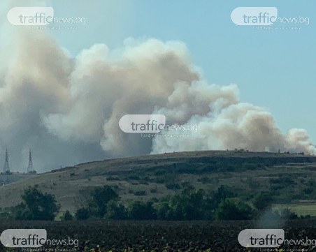 Пожарът край Шишманци се възобнови, облаци дим се виждат от десетки километри