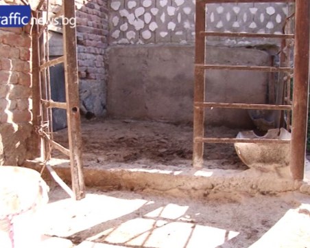 След бунта: Свинарниците в Юнаците празни, заминаха си и бременните прасета