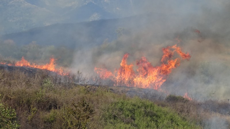 Голям пожар избухна в Хасковско