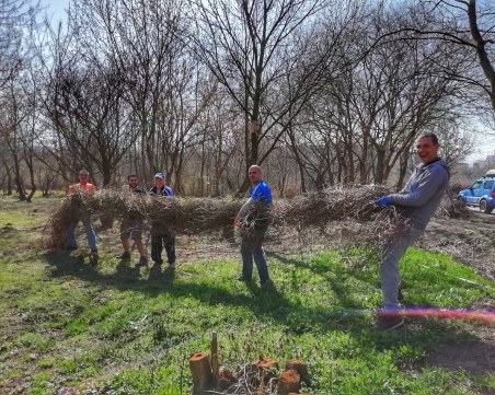 Доброволци засаждат 10 000 минзухара в Ботаническата градина в Пловдив