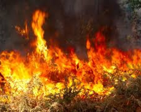 Жегата може да запали 8 области днес, най-опасно е в Пиринско