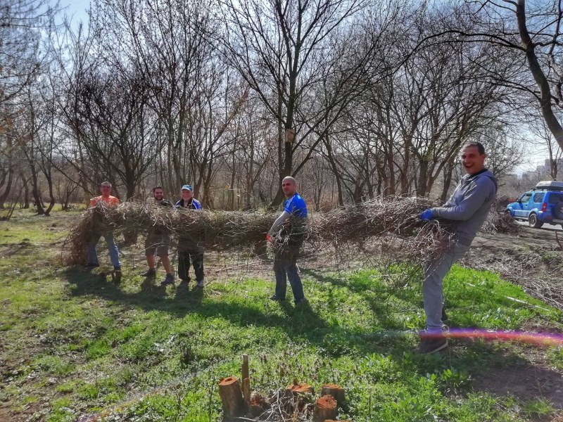Доброволци засаждат 10 000 минзухара в Ботаническата градина в Пловдив