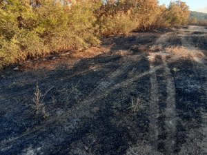 Започват да разследват пожара в Хасково
