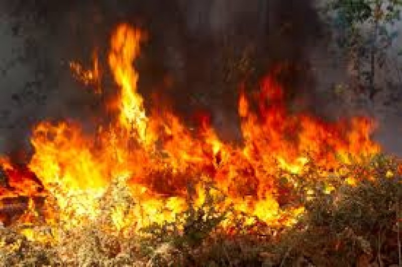 Жегата може да запали 8 области днес, най-опасно е в Пиринско
