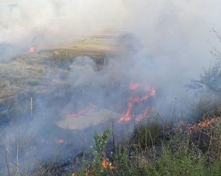 Пламнали сухи треви и храсти предизвика задимяване на магистрала 