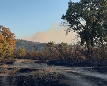 Психично болен мъж е заподозрян за големия пожар в Хасково