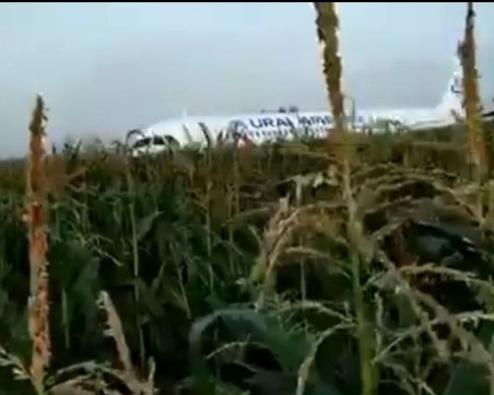 Руски самолет кацна аварийно в нива, 23 души пострадаха