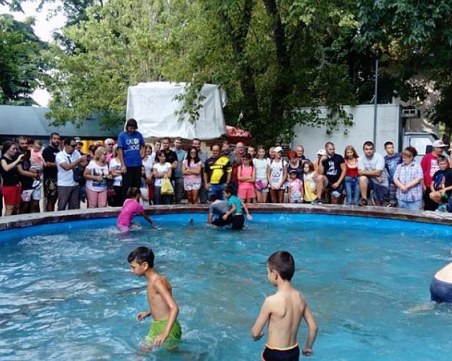 Деца ловиха шарани с голи ръце във фонтан край Пловдив