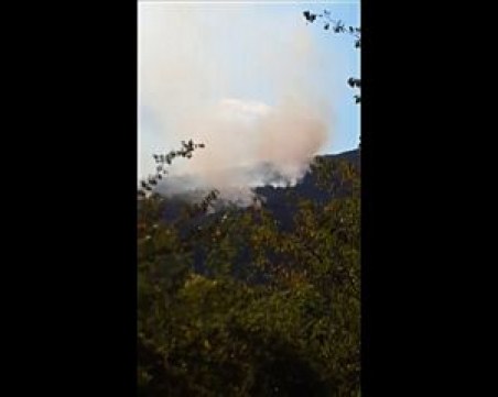 Две вили са изгорели при пожара в Софийско