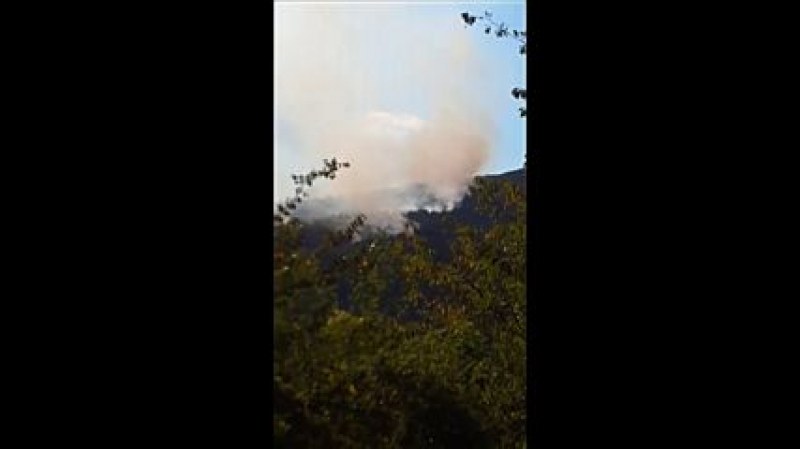 Две вили са изгорели при пожара в Софийско