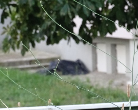 Майка на психичноболен син се метна от четвъртия етаж