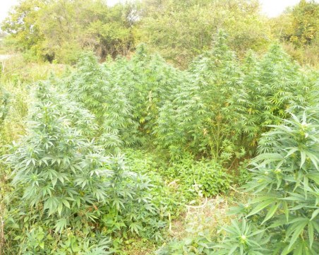 Арестуваха млад 