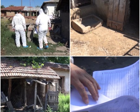 Чаканите 300 лева за умъртвените животни ще се изплащат след 1 септември