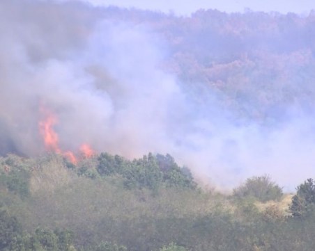 Близо 100 души гасят огненото бедствие до Ветрен