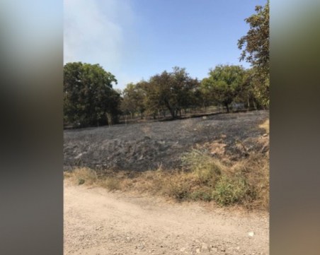 Голям пожар бушува край двореца 