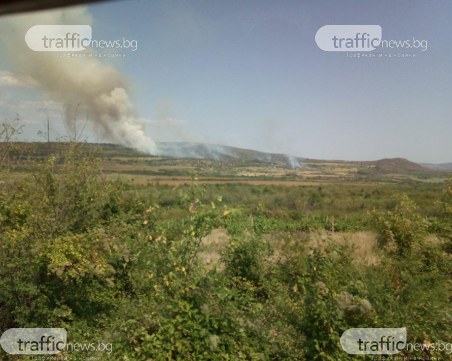Пожар избухна на сметище в Пазарджишко, огънят тръгна и към гората