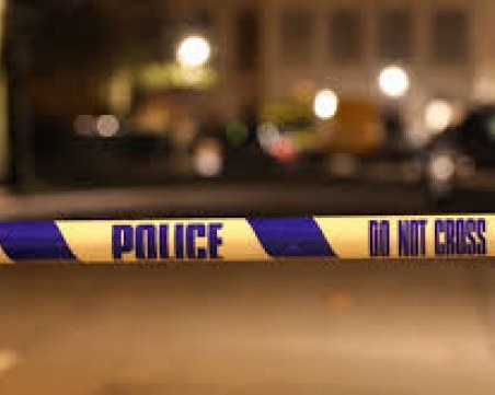 Петима души загинаха в голяма блъсканица повреме на концерт