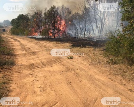 Пламна голям пожар в района на пловдивско село