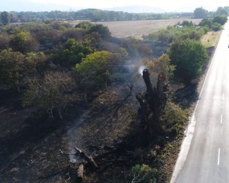 Разследват пожара край Кричим, иззета е техника