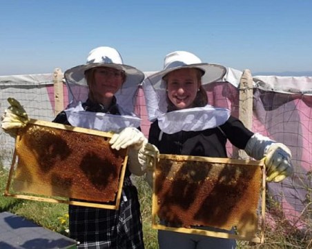 Ученици добиват мед край София