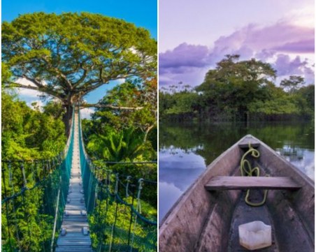 Унищожаването на Амазония би било пагубно за цялото човечество