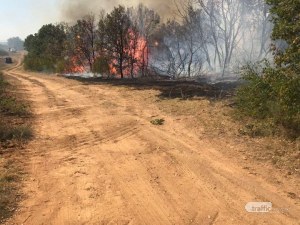 Пламна голям пожар в района на пловдивско село