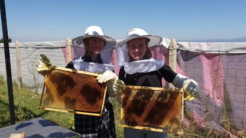 Ученици добиват мед край София