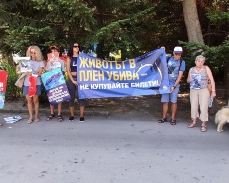 Искат затваряне на делфинариума във Варна, ръководството излезе с позиция