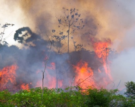 Бразилия търси помощ от военните за справяне с бедствието в Амазония