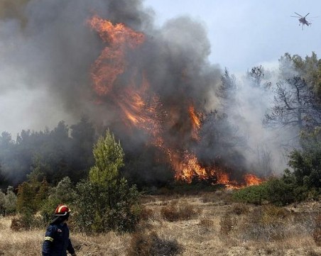 Евакуираха стотици туристи от гръцкия остров Самос заради пожар