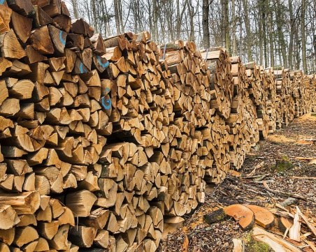 По-скъпи дърва за огрев в Пловдивско заради мерките срещу чумата по свинете