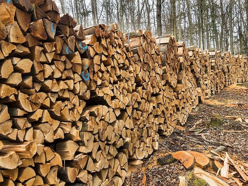 По-скъпи дърва за огрев в Пловдивско заради мерките срещу чумата по свинете