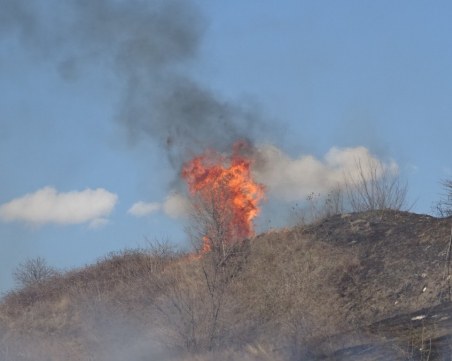 Откриха тялото на възрастен мъж в обгорели площи в Разградско