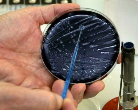 Проверено: Няма легионерска болест в 