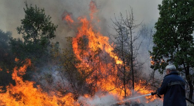 Пожар изпепели 100 декара гора край Девин