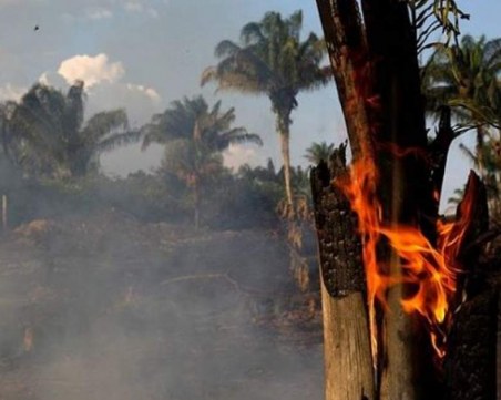 Бразилия: Всичко е под контрол, не искаме помощ! По-добре залесявайте Европа