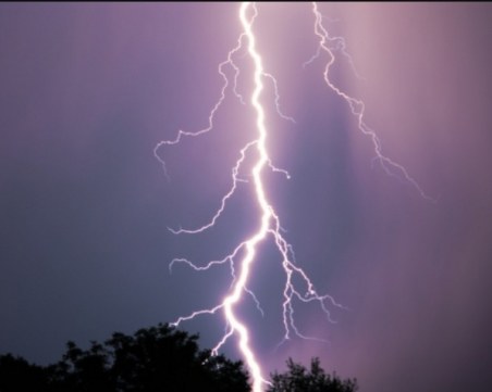 Мълния разцепи на две бор в центъра на Велико Търново